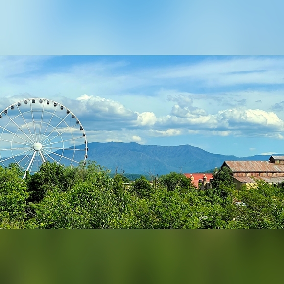 Meet your Posher, Stephanie - Picture 10 of 10